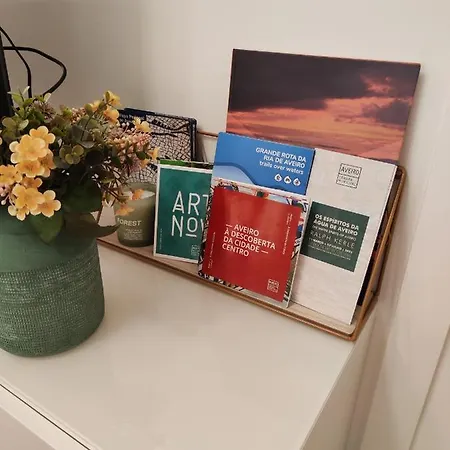 Casa Moliceiro Appartamento Aveiro