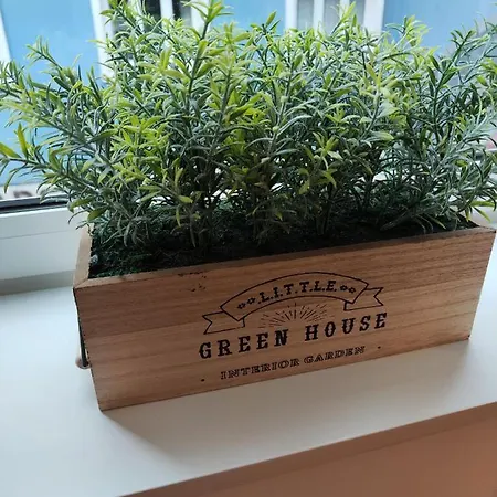 Casa Moliceiro Lägenhet *